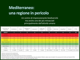 Mediterraneo:
una regione in pericolo
Un centro di impressionante biodiversità
ma anche uno dei più minacciati
principalmente dall’attività umana
 