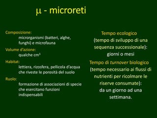m - microreti
Composizione:
microrganismi (batteri, alghe,
funghi) e microfauna
Volume d’azione:
qualche cm3
Habitat:
lettiera, rizosfera, pellicola d’acqua
che riveste le porosità del suolo
Ruolo:
formazione di associazioni di specie
che esercitano funzioni
indispensabili
Tempo ecologico
(tempo di sviluppo di una
sequenza successionale):
giorni o mesi
Tempo di turnover biologico
(tempo necessario ai flussi di
nutrienti per ricolmare le
riserve consumate):
da un giorno ad una
settimana.
 