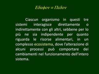 Ciascun organismo in questi tre
sistemi interagisce direttamente o
indirettamente con gli altri, sebbene per lo
più ne sia indipendente per quanto
riguarda le risorse alimentari, in un
complesso ecosistema, dove l’alterazione di
alcuni processi può comportare dei
cambiamenti nel funzionamento dell’intero
sistema.
Edafon  Pedon
 