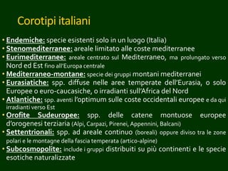 Corotipi italiani
• Endemiche: specie esistenti solo in un luogo (Italia)
• Stenomediterranee: areale limitato alle coste mediterranee
• Eurimediterranee: areale centrato sul Mediterraneo, ma prolungato verso
Nord ed Est fino all’Europa centrale
• Mediterraneo-montane: specie dei gruppi montani mediterranei
• Eurasiatiche: spp. diffuse nelle aree temperate dell’Eurasia, o solo
Europee o euro-caucasiche, o irradianti sull’Africa del Nord
• Atlantiche: spp. aventi l’optimum sulle coste occidentali europee e da qui
irradianti verso Est
• Orofite Sudeuropee: spp. delle catene montuose europee
d’orogenesi terziaria (Alpi, Carpazi, Pirenei,Appennini, Balcani)
• Settentrionali: spp. ad areale continuo (boreali) oppure diviso tra le zone
polari e le montagne della fascia temperata (artico-alpine)
• Subcosmopolite: include i gruppi distribuiti su più continenti e le specie
esotiche naturalizzate
 