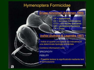Hymenoptera Formicidae
Gruppi funzionali (Andersen 1995)
OP = opportunists
DD = dominant Dolichoderine
CCS = cold climate specialists
GM = generalised Myrmicine
CR = Criptic
IndVal (Dufrene & Legendre 1997)
- Indice di quanto una specie sia indicatrice di
una determinata tipologia ambientale
Combina informazioni sulla
SPECIFICITY
FIDELITY
- Possibile testare la significatività mediante test
di permutazione
 