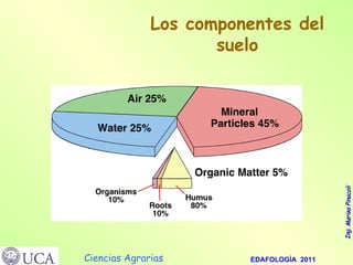 Los componentes del suelo 