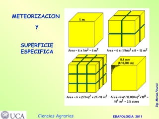 METEORIZACION  y SUPERFICIE ESPECIFICA 