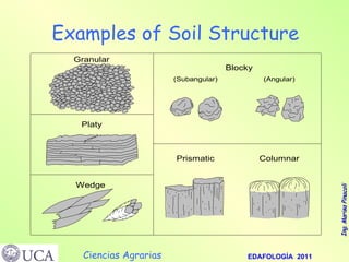 Examples of Soil Structure 