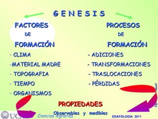 G E N E S I S  FACTORES  PROCESOS DE  DE FORMACIÓN  FORMACIÓN -  CLIMA  - ADICIONES MATERIAL MADRE  - TRANSFORMACIONES TOPOGRAFIA  - TRASLOCACIONES TIEMPO  - PÉRDIDAS ORGANISMOS PROPIEDADES Observables  y  medibles 