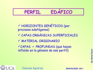 PERFIL  EDÁFICO HORIZONTES GENÉTICOS (por procesos edafógenos) CAPAS ORGÁNICAS SUPERFICIALES MATERIAL ORIGINARIO CAPAS  +  PROFUNDAS (que hayan influído en la génesis de ese perfil) 