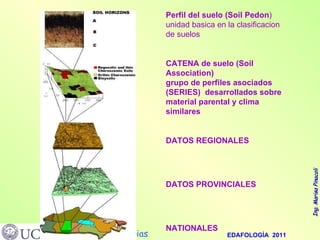 Perfil del suelo (Soil Pedon ) unidad basica en la clasificacion de suelos CATENA de suelo (Soil Association) grupo de perfiles asociados (SERIES)  desarrollados sobre material parental y clima similares DATOS REGIONALES DATOS PROVINCIALES NATIONALES                                                                                       