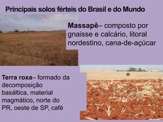 Principais solos férteis do Brasil e do Mundo

                     Massapê– composto por
                     gnaisse e calcário, litoral
                     nordestino, cana-de-açúcar



Terra roxa– formado da
decomposição
basáltica, material
magmático, norte do
PR, oeste de SP, café
 