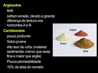 Argissolos
  fértil
  sofrem erosão, devido a grande
  diferença de textura nos
  horizontes A e B
Cambissolos
  pouco profundo
  Solos jovens
  Alto teor de silte (material
  sedimentar, menor que areia
  fina e maior que argila)
  Pouca permeabilidade
  10% da área do cerrado
 