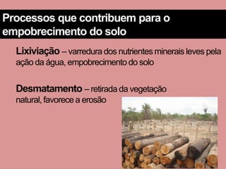 Processos que contribuem para o
empobrecimento do solo
  Lixiviação – varredura dos nutrientes minerais leves pela
  ação da água, empobrecimento do solo


  Desmatamento – retirada da vegetação
  natural, favorece a erosão
 