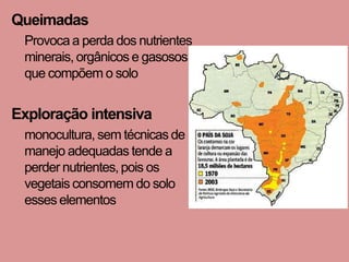 Queimadas
 Provoca a perda dos nutrientes
 minerais, orgânicos e gasosos
 que compõem o solo


Exploração intensiva
 monocultura, sem técnicas de
 manejo adequadas tende a
 perder nutrientes, pois os
 vegetais consomem do solo
 esses elementos
 