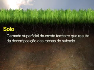 Solo
 Camada superficial da crosta terrestre que resulta
 da decomposição das rochas do subsolo
 