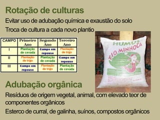 Rotação de culturas
Evitar uso de adubação química e exaustão do solo
Troca de cultura a cada novo plantio




Adubação orgânica
Resíduos de origem vegetal, animal, com elevado teor de
componentes orgânicos
Esterco de curral, de galinha, suínos, compostos orgânicos
 