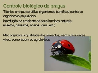 Controle biológico de pragas
Técnica em que se utiliza organismos benéficos contra os
organismos prejudiciais
introdução no ambiente de seus inimigos naturais
(insetos, pássaros, ácaros, vírus, etc.).

Não prejudica a qualidade dos alimentos, nem outros seres
vivos, como fazem os agrotóxicos
 
