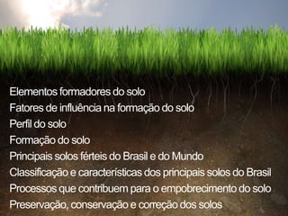 Elementos formadores do solo
Fatores de influência na formação do solo
Perfil do solo
Formação do solo
Principais solos férteis do Brasil e do Mundo
Classificação e características dos principais solos do Brasil
Processos que contribuem para o empobrecimento do solo
Preservação, conservação e correção dos solos
 