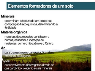 Elementos formadores de um solo

Minerais
  determinam a textura de um solo e sua
  composição físico-química, determinando a
  fertilidade
Matéria orgânica
  materiais decompostos constituem o
  húmus, essencial à liberação de
  nutrientes, como o nitrogênio e o fósforo
Ar
  para o crescimento da vegetação, raízes
  precisam de oxigênio
Água
  desenvolvimento dos vegetais devido ao
  gás carbônico, oxigênio e sais minerais
 