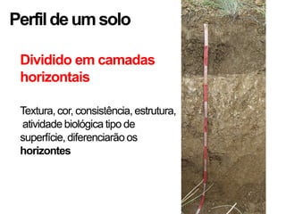 Perfil de um solo

 Dividido em camadas
 horizontais

 Textura, cor, consistência, estrutura,
 atividade biológica tipo de
 superfície, diferenciarão os
 horizontes
 