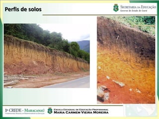 Perfis de solos
 