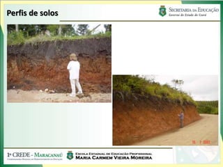 Perfis de solos
 