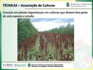 TÉCNICAS – Associação de Culturas
Consiste em plantar leguminosas em culturas que deixam boa parte
do solo exposto a erosão.
 