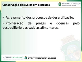 Conservação dos Solos em Florestas


• Agravamento dos processos de desertificação;
• Proliferação de pragas e doenças           pelo
desequilíbrio das cadeias alimentares.
 
