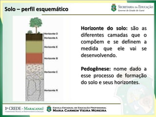 Solo – perfil esquemático


                            Horizonte do solo: são as
                            diferentes camadas que o
                            compõem e se definem a
                            medida que ele vai se
                            desenvolvendo.

                            Pedogênese: nome dado a
                            esse processo de formação
                            do solo e seus horizontes.
 