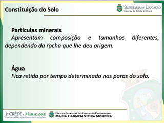 Constituição do Solo


  Partículas minerais
  Apresentam composição e tamanhos             diferentes,
dependendo da rocha que lhe deu origem.


  Água
  Fica retida por tempo determinado nos poros do solo.
 