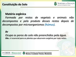 Constituição do Solo


  Matéria orgânica
  Formada por restos de vegetais e animais não
decompostos e pelo produto desses restos depois de
decompostos por microorganismos (húmus).

  Ar
  Ocupa os poros do solo não preenchidos pela água.
  Obs.: é essencial para as plantas que absorvem oxigênio por suas raízes.
 