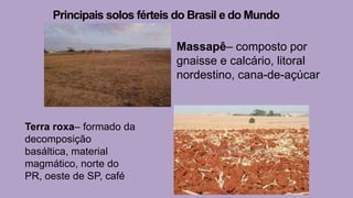 Principais solos férteis do Brasil e do Mundo
Massapê– composto por
gnaisse e calcário, litoral
nordestino, cana-de-açúcar
Terra roxa– formado da
decomposição
basáltica, material
magmático, norte do
PR, oeste de SP, café
 