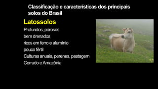 Classificação e características dos principais
solos do Brasil
Latossolos
Profundos, porosos
bem drenados
ricos em ferro e alumínio
pouco fértil
Culturas anuais, perenes, pastagem
Cerrado eAmazônia
 