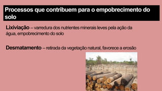 Lixiviação – varredura dos nutrientes minerais leves pela ação da
água, empobrecimento do solo
Desmatamento – retirada da vegetação natural, favorece a erosão
Processos que contribuem para o empobrecimento do
solo
 
