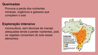 Queimadas
Provoca a perda dos nutrientes
minerais, orgânicos e gasosos que
compõem o solo
Exploração intensiva
monocultura, sem técnicas de manejo
adequadas tende a perder nutrientes, pois
os vegetais consomem do solo esses
elementos
 