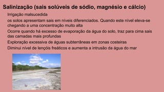 Salinização (sais solúveis de sódio, magnésio e cálcio)
Irrigação malsucedida
os solos apresentam sais em níveis diferenciados. Quando este nível eleva-se
chegando a uma concentração muito alta
Ocorre quando há excesso de evaporação da água do solo, traz para cima sais
das camadas mais profundas
Exploração excessiva de águas subterrâneas em zonas costeiras
Diminui nível de lençóis freáticos e aumenta a intrusão da água do mar
 