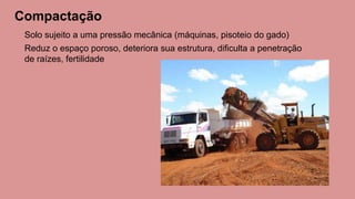 Compactação
Solo sujeito a uma pressão mecânica (máquinas, pisoteio do gado)
Reduz o espaço poroso, deteriora sua estrutura, dificulta a penetração
de raízes, fertilidade
 