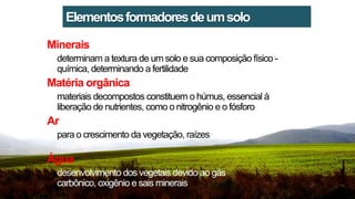Minerais
determinam a textura de um solo e sua composição físico -
química, determinando a fertilidade
Matéria orgânica
materiais decompostos constituem o húmus, essencial à
liberação de nutrientes, como o nitrogênio e o fósforo
Ar
para o crescimento da vegetação, raízes precisam de
oxigênio
Água
desenvolvimento dos vegetais devido ao gás
carbônico, oxigênio e sais minerais
Elementosformadoresdeumsolo
 