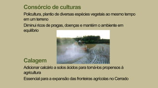 Consórcio de culturas
Policultura, plantio de diversas espécies vegetais ao mesmo tempo
em um terreno
Diminui ricos de pragas, doenças e mantém o ambiente em
equilíbrio
Calagem
Adicionar calcário a solos ácidos para torná-los propensos à
agricultura
Essencial para a expansão das fronteiras agrícolas no Cerrado
 