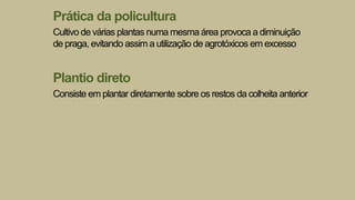 Prática da policultura
Cultivo de várias plantas numa mesma área provoca a diminuição
de praga, evitando assim a utilização de agrotóxicos em excesso
Plantio direto
Consiste em plantar diretamente sobre os restos da colheita anterior
 