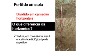 Perfildeumsolo
Dividido em camadas
horizontais
 Textura, cor, consistência, estrut
ura, atividade biológica tipo de
superfície
O que diferencia os
horizontes?
 