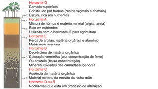 Horizonte O
Camada superficial
Constituído por húmus (restos vegetais e animais)
Escuro, rico em nutrientes
Horizonte A
Mistura de húmus e matéria mineral (argila, areia)
Rico em nutrientes
Utilizado com o horizonte O para agricultura
Horizonte E
Perda de argilas, matéria orgânica e alumínio
Matriz mais arenosa
Horizonte B
Decréscimo de matéria orgânica
Coloração vermelha (alta concentração de ferro)
Ou amarela (baixa concentração)
Minerais lixiviados das camadas superiores
Horizonte C
Ausência da matéria orgânica
Material mineral da erosão da rocha-mãe
Horizonte D ou R
Rocha-mãe que está em processo de alteração
 
