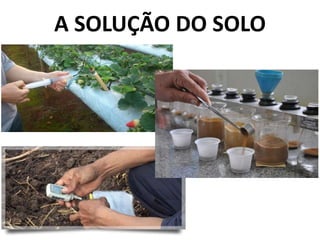 A SOLUÇÃO DO SOLO
 