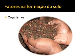 Organismos 