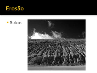 Sulcos 
