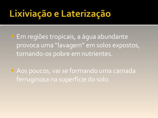 Em regiões tropicais, a água abundante provoca uma “lavagem” em solos expostos, tornando-os pobre em nutrientes. Aos poucos, vai se formando uma camada ferruginosa na superfície do solo. 