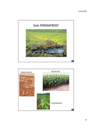 13/04/2020
10
Solo PERMAFROST
TERRA ROXA MASSAPÉ
SALMORÃO
 