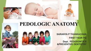 PEDOLOGIC ANATOMY
SARANYA P THANKACHAN
FIRST YEAR PG
Dept. PEDODONTICS
&PREVENTIVE DENTISTRY
 