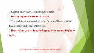 Skeletal and visceral tissue begins to form.
Kidney begins to form with tubules.
The back bone and vertebral canal form small buds that will
develop inner and upper extremities.
Heart forms , starts functioning and body system begins to
form.
TEXTBOOK OF PEDODONTICS- 3rd Edition-shobha Tandon
 