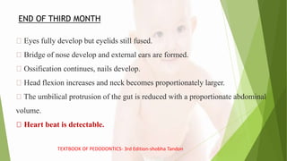 Eyes fully develop but eyelids still fused.
Bridge of nose develop and external ears are formed.
Ossification continues, nails develop.
Head flexion increases and neck becomes proportionately larger.
The umbilical protrusion of the gut is reduced with a proportionate abdominal
volume.
Heart beat is detectable.
END OF THIRD MONTH
TEXTBOOK OF PEDODONTICS- 3rd Edition-shobha Tandon
 
