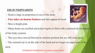 Head is large in proportion to rest of the body.
Face takes on human features and hair appear on head.
Skin is bright pink.
Many bones are ossified and joints begins to form with continued development
of the body systems.
The eyes have moved forward to anterior position but are still wide apart.
The external ear is on the side of the head and no longer on upper part of the
neck.
END OF FOURTH MONTH
TEXTBOOK OF PEDODONTICS- 3rd Edition-shobha Tandon
 