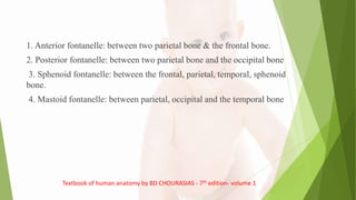 1. Anterior fontanelle: between two parietal bone & the frontal bone.
2. Posterior fontanelle: between two parietal bone and the occipital bone
3. Sphenoid fontanelle: between the frontal, parietal, temporal, sphenoid
bone.
4. Mastoid fontanelle: between parietal, occipital and the temporal bone
Textbook of human anatomy by BD CHOURASIAS - 7th edition- volume 1
 