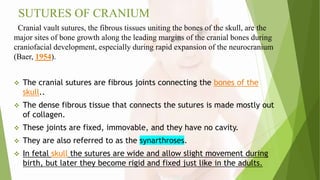 SUTURES OF CRANIUM
Cranial vault sutures, the fibrous tissues uniting the bones of the skull, are the
major sites of bone growth along the leading margins of the cranial bones during
craniofacial development, especially during rapid expansion of the neurocranium
(Baer, 1954).
 The cranial sutures are fibrous joints connecting the bones of the
skull..
 The dense fibrous tissue that connects the sutures is made mostly out
of collagen.
 These joints are fixed, immovable, and they have no cavity.
 They are also referred to as the synarthroses.
 In fetal skull the sutures are wide and allow slight movement during
birth, but later they become rigid and fixed just like in the adults.
 